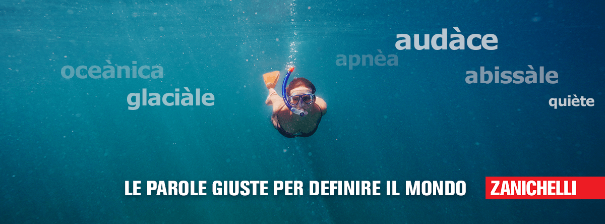 LX per Zanichelli - Creatività per Facebook Page Like AD